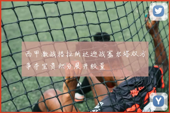 西甲激战格拉纳达迎战塞尔塔双方争夺宝贵积分展开较量