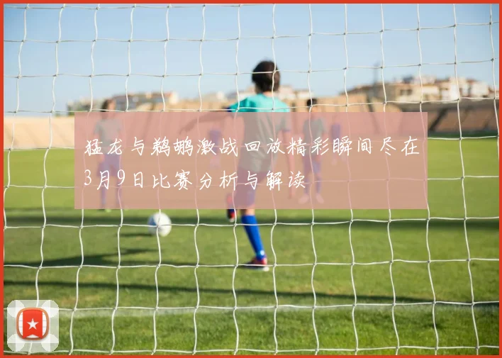 猛龙与鹈鹕激战回放精彩瞬间尽在3月9日比赛分析与解读
