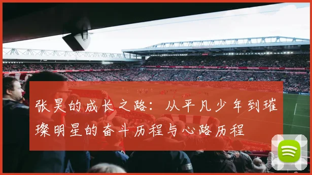 张昊的成长之路：从平凡少年到璀璨明星的奋斗历程与心路历程